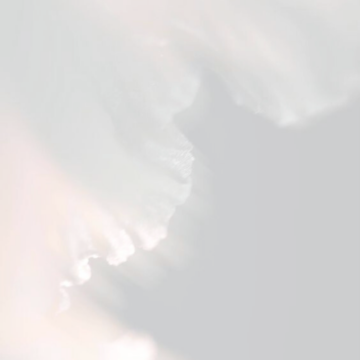 Le petit rituel professionnel : au choix